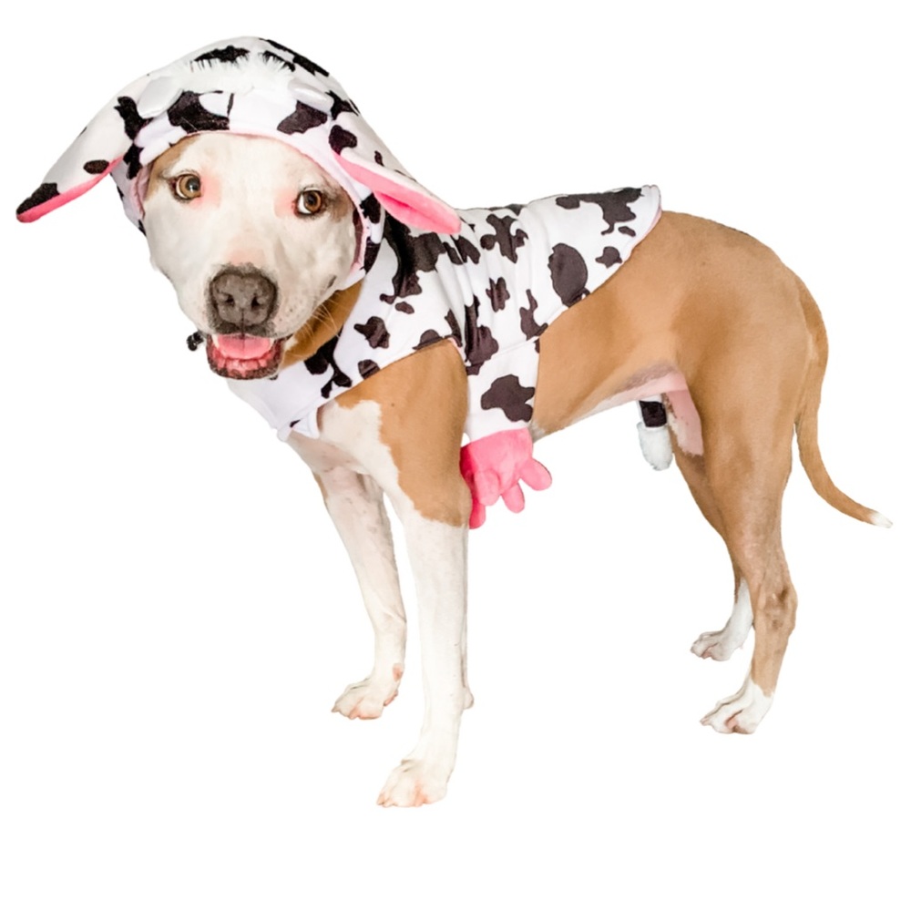 Skull‎ & Bones Dog Cow Halloween Costume Large